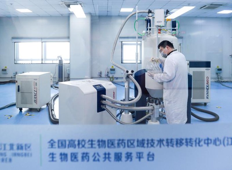 揭秘药品研发的复杂与挑战
